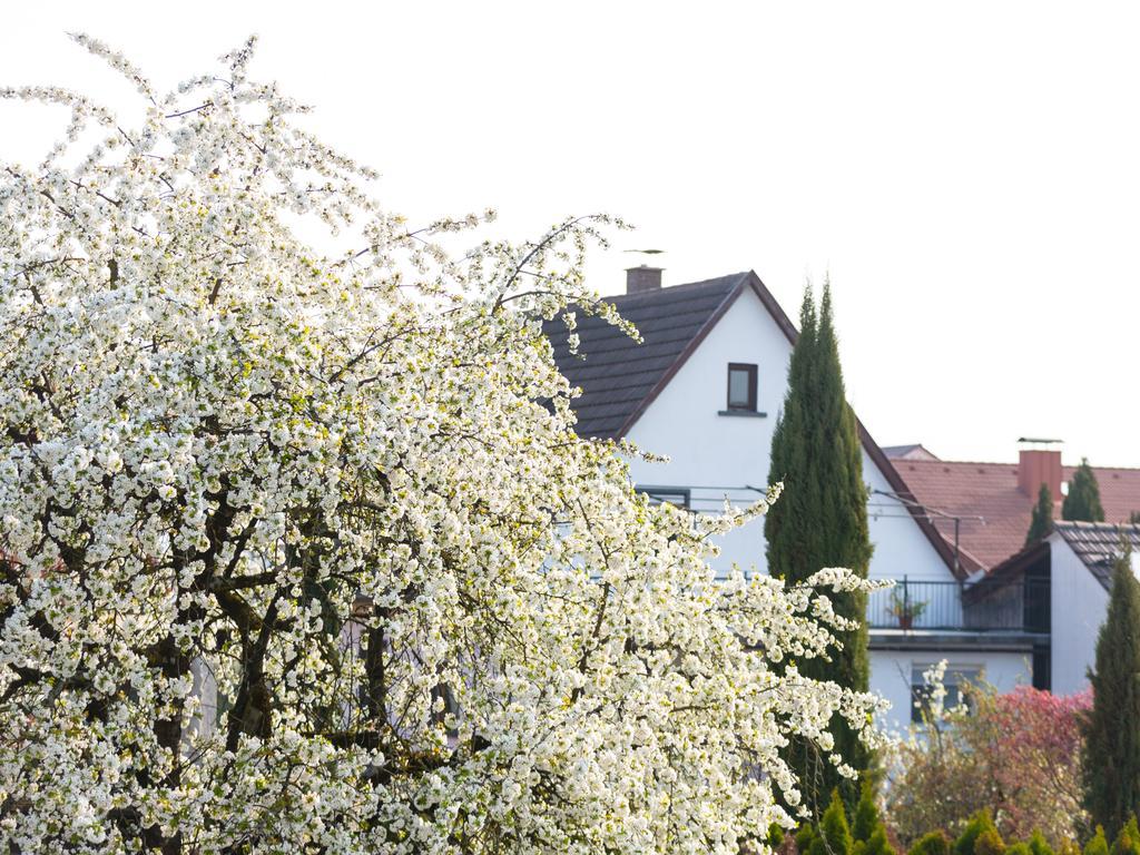 Ferienwohnung Ruster Drachennest Exterior foto